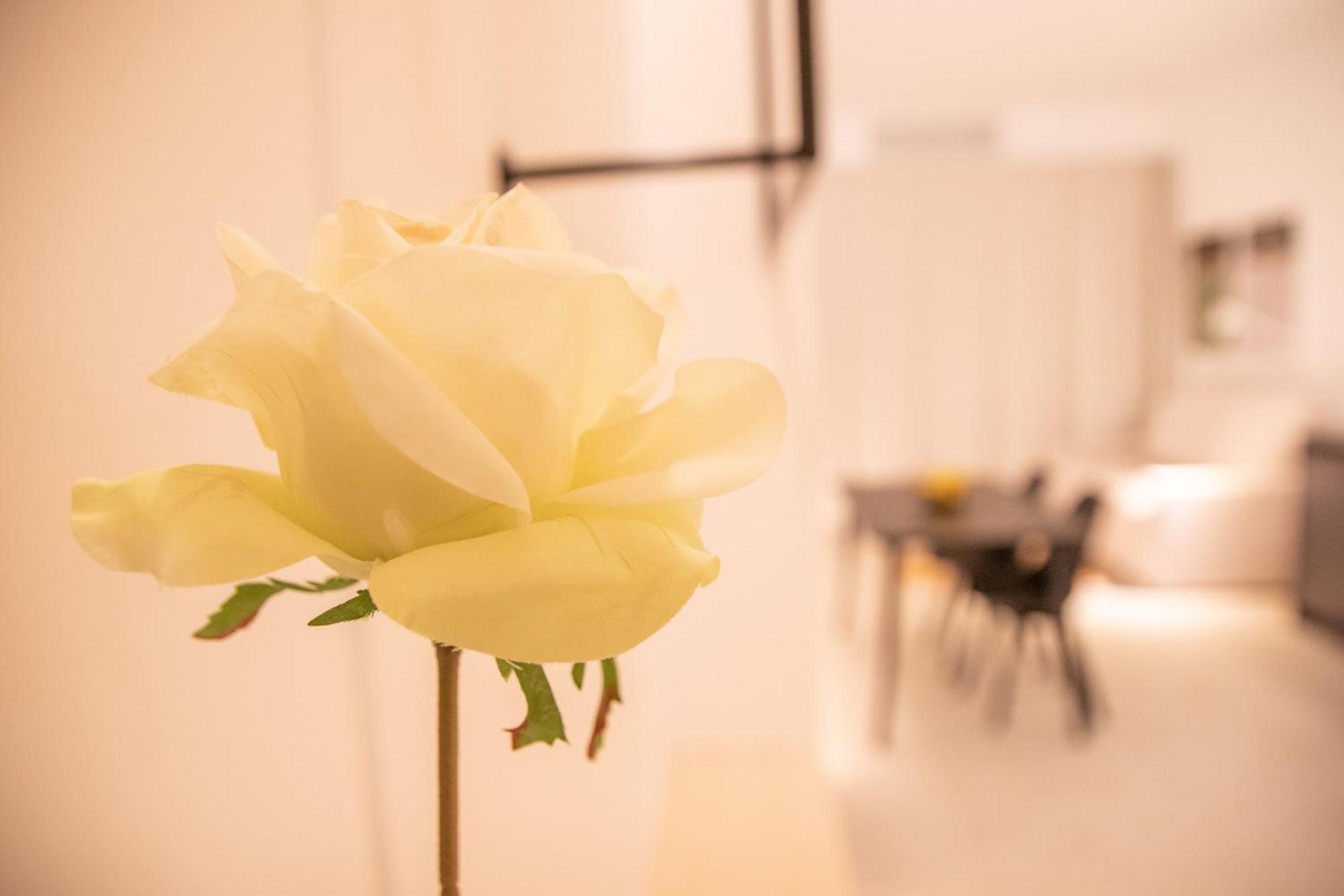 Breathe Apartments By Concept Flats Βαλένθια Εξωτερικό φωτογραφία